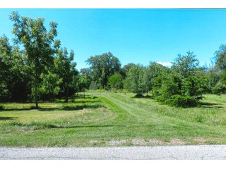 21.868+/- Acres. 
Per the owner, there are 290 walnut trees that are approximately 10 years old.
The Little Monon Creek runs through this property.

There is a cemetery on this property and they have ingress and egress access to the property. - Recreatonal & Investment & Possible Building Site